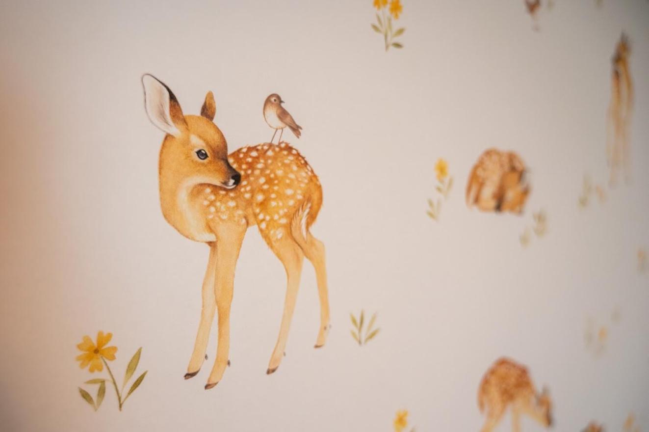 Le Val Des Cerfs - Het Hertendal Hastiere-par-dela Quarto foto